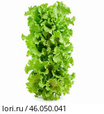 Fresh green lettuce forming an irregular column on white background. Стоковое AI-изображение, AI-художник Иван Рябоконь / Фотобанк Лори