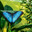 Живая голубая бабочка на зеленом растительном фоне / Blue Morpho butterfly sitting on green leaves in a tropical forest jungle. Стоковое фото, фотограф Iva Noel / Фотобанк Лори