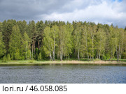 Весенний пейзаж с рекой и лесом. Стоковое фото, фотограф Елена Коромыслова / Фотобанк Лори