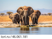 Elephants drinking water in etosha national park namibia africa. Стоковое AI-изображение, AI-художник Иван Рябоконь / Фотобанк Лори