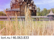 Парковый комплекс "Усадьба Богословка" (2023 год). Редакционное фото, фотограф Светлана Качанова / Фотобанк Лори