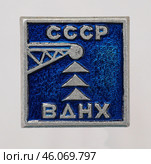 Значок металлический "ВДНХ - выставка достижений народного хозяйства" Редакционное фото, фотограф Максим Гулячик / Фотобанк Лори