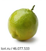 Whole green lime showing rind and stem on white background. Стоковое AI-изображение, AI-художник Иван Рябоконь / Фотобанк Лори