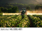 Tractor spraying pesticides on potato plantation at sunset. Стоковое AI-изображение, AI-художник Иван Рябоконь / Фотобанк Лори