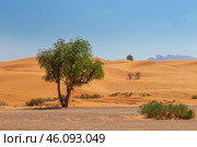 Arabian desert (2013 год). Стоковое фото, фотограф Олег Жуков / Фотобанк Лори