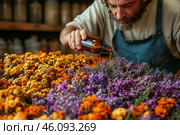 A bearded man in an apron carefully pouring essential oil from a brown glass bottle onto dried flowers. In front of him lie large piles of colorful dried plants: purple lavender, orange and yellow herbs, creating a bright contrast. The setting is reminiscent of a herbalist's or aromatherapist's workshop, where natural extracts and essences are prepared. Glass jars with ingredients are visible in the background, emphasizing the artisanal nature of the work. The atmosphere is filled with warmth, naturalness and the aromas of nature. Стоковое AI-изображение, AI-художник Анна Кривицкая / Фотобанк Лори