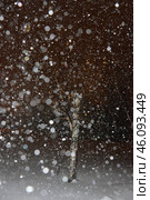 Winter night snowfall, nature background. Стоковое фото, фотограф Ilaronsia / Фотобанк Лори
