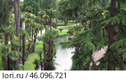 Парк отеля Du Lac et Du Parc Grand Resort. Город Рива дель Гарда. Италия. Май. Park of the Hotel Du Lac et Du Parc Grand Resort. City Riva del Garda. Italy. May. Редакционное видео, видеограф Горшков Александр / Фотобанк Лори