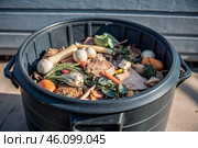 An open compost container with peels and fruit and vegetable clippings. Organic waste in a garden composter. Eco-friendly gardening, sustainability, ecology. Стоковое AI-изображение, AI-художник Photojuli / Фотобанк Лори