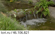 A Beautiful Tranquil Water Stream Surrounded by Lush Greenery and Gentle Soft Cascades. Стоковое видео, видеограф PAv / Фотобанк Лори