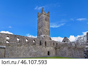 Claregalway Friary, Ireland (2018 год). Стоковое фото, фотограф Boris Breytman / Фотобанк Лори