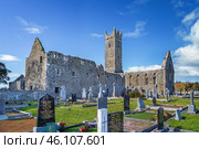 Claregalway Friary, Ireland (2018 год). Стоковое фото, фотограф Boris Breytman / Фотобанк Лори