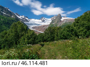 View of the Alibek glacier in the mountains of the North Caucasus on the territory of the Teberdinsky Nature Reserve on a sunny summer day, Dombay, Karachay-Cherkessia, Russia. Стоковое фото, фотограф Ula Ulachka / Фотобанк Лори