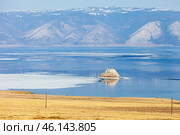 Baikal Lake. Olkhon Island in spring. White ice floes float on blue water of Small Sea. Cormorants returned from southern wintering and settled on rocky island of Edor. Cows graze on yellow steppe fields. Стоковое фото, фотограф Виктория Катьянова / Фотобанк Лори