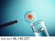 In vitro fertilization process with egg cell. Стоковое AI-изображение, AI-художник Башкирова Анна / Фотобанк Лори