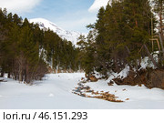 Река Донгуз-Орун-Баксан зимой среди зеленого хвойного леса. Стоковое фото, фотограф Сергей Крамарев / Фотобанк Лори