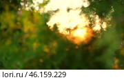 Green Natural Bokeh Background. Defocused Leaves of Trees and Soft Sunset Sunlight. Sunbeams Sunrays. Стоковое видео, видеограф Марина Демидюк / Фотобанк Лори