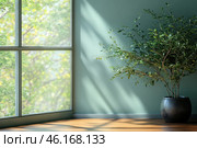 A cozy interior corner with a large window through which soft natural light penetrates. There is a large houseplant in a dark pot by the window, its thin branches with green leaves slightly bending. On the wall there is a soft pastel shade of green, creating a calm and harmonious atmosphere. The light from the window casts beautiful shadows from the foliage on the wall and floor. A slight blur effect is visible behind the glass, where trees and greenery can be guessed, which makes the scene even more natural and peaceful. Стоковое AI-изображение, AI-художник Анна Кривицкая / Фотобанк Лори