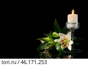 Burning candle and flowers on black background. Стоковое фото, фотограф Pixel_shot / Фотобанк Лори