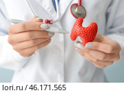 Doctor with model of thyroid gland and pen, closeup. Стоковое фото, фотограф Pixel_shot / Фотобанк Лори