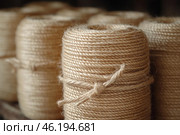 Skeins of natural jute rope, carefully twisted into tight cylinders. The texture of the fibers is clearly visible, creating a feeling of softness and durability of the material. The ropes have a natural beige shade, and slightly protruding villi emphasize the naturalness of the raw material. The background is blurred, which emphasizes the main object. This rope is widely used in crafts, packaging and decor. Стоковое AI-изображение, AI-художник Анна Кривицкая / Фотобанк Лори