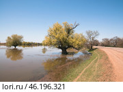 Большая вода, весна, Астраханская область. Стоковое фото, фотограф Павел Просянов / Фотобанк Лори