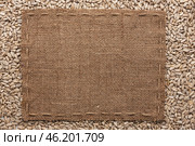 Frame made of burlap with the line lies on  sunflower seeds. Стоковое фото, фотограф Александр Собко / Фотобанк Лори