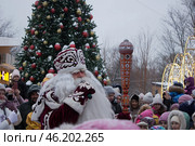 Дед Мороз на новогоднем детском празднике в парке. Редакционное фото, фотограф Елена Орлова / Фотобанк Лори