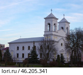 Костёл Воздвижения Святого Креста. Беларусь, Брест, улица Ленина, 34 (2020 год). Стоковое фото, фотограф Алексей Иванов / Фотобанк Лори