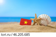 Tropical beach with seashells and Vietnam flag. The concept of a paradise vacation on the beaches of Vietnam. (2021 год). Стоковое фото, фотограф Никита Бурденков / Фотобанк Лори