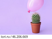 Cactus and air balloon on color background. Стоковое фото, фотограф Pixel_shot / Фотобанк Лори