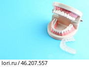 Artificial jaw and occlusal splint on color background. Стоковое фото, фотограф Pixel_shot / Фотобанк Лори