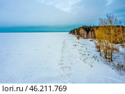 Вид на Обское море, побережье и сосновый бор зимой. Вид с высоты птичьего полёта. Бердск, Новосибирская область, Западная Сибирь России. Стоковое фото, фотограф Евгений Мухортов / Фотобанк Лори