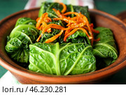 Bowl with stuffed cabbage leaves, closeup. Стоковое фото, фотограф Pixel_shot / Фотобанк Лори