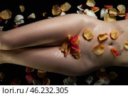 Body Art Adorned With Petals Invites Serenity in a Salon Relaxation Experience. Стоковое фото, фотограф Aleksandr Golubev / Фотобанк Лори