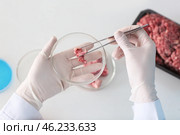 Scientist examining meat sample in laboratory, closeup. Стоковое фото, фотограф Pixel_shot / Фотобанк Лори