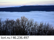 Туман над Мезмаем, Краснодарский край, зима. Стоковое фото, фотограф Оглоблин Андрей Николаевич / Фотобанк Лори