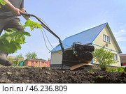 A rural neighbor is working in their garden, using a tiller to till the soil on a bright May day. Стоковое фото, фотограф Скрипачев Антон / Фотобанк Лори