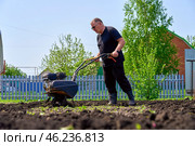 A man is working in a field on a tiller block. The man is wearing a black shirt and black trousers. Plowing a plot of land with a small tractor. Стоковое фото, фотограф Скрипачев Антон / Фотобанк Лори