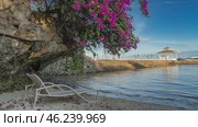 A chaise longue on a sandy beach by the ocean. On an overhanging cliff is a bush of blooming bougainvillea. Fallen purple flowers are scattered on the sand. There is a canopy on the pier, and the boat. Стоковое фото, фотограф Вера Ивановна Кубарева / Фотобанк Лори