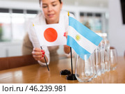 Unrecognizable girl sets midget flags of Argentina and Japan before international negotiations. Стоковое фото, фотограф Яков Филимонов / Фотобанк Лори