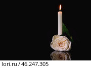 Burning candle and flower on black background. Стоковое фото, фотограф Pixel_shot / Фотобанк Лори