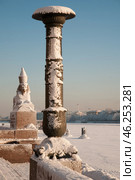 Зима в Санкт-Петербурге. Нева. Сфинкс (2010 год). Стоковое фото, фотограф Александр Алексеев / Фотобанк Лори