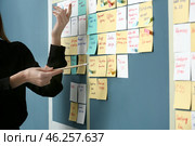 Young woman near scrum task board in office. Стоковое фото, фотограф Pixel_shot / Фотобанк Лори
