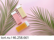 Liposoluble wax cartridges and tropical leaves on color background. Стоковое фото, фотограф Pixel_shot / Фотобанк Лори