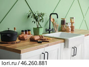 White sink with houseplant, food and kitchen utensils on counters near green wall. Стоковое фото, фотограф Pixel_shot / Фотобанк Лори