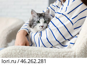 Young woman with adorable longhaired cat on sofa in living room. Стоковое фото, фотограф Pixel_shot / Фотобанк Лори