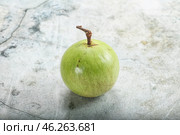Tropical sweet fruit Sapote Star apple. Стоковое фото, фотограф Андрей Старостин / Фотобанк Лори