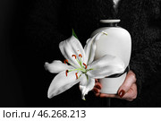 Woman holding mortuary urn with lily flower, closeup. Стоковое фото, фотограф Pixel_shot / Фотобанк Лори