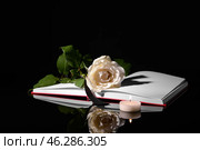 Open book, flower, black ribbon and burning candle on dark background. Стоковое фото, фотограф Pixel_shot / Фотобанк Лори